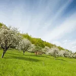 Фермерский дом Tourist Farm Zelinc