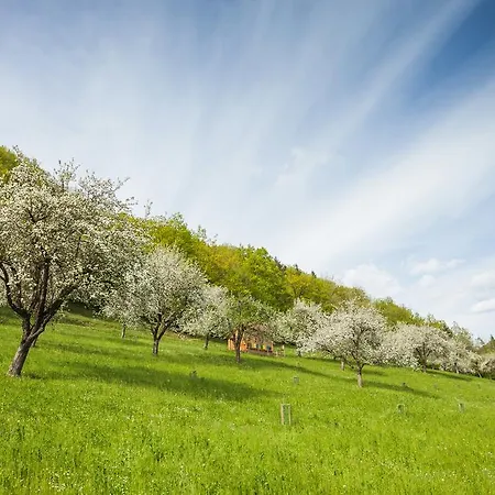 Farmház Zelinc