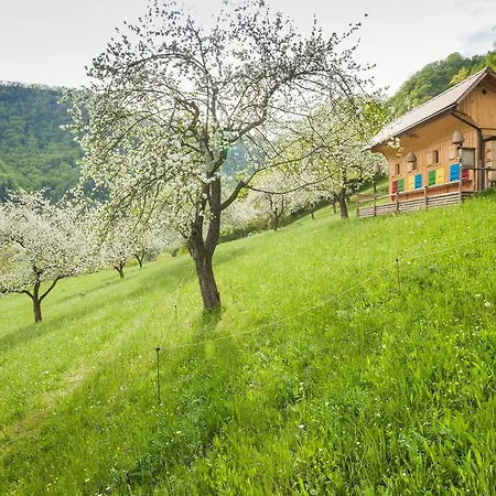 Tourist Farm Zelinc Cerkno