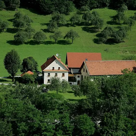 Tourist Farm Zelinc Farm stay