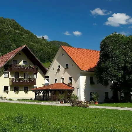 Фермерский дом Tourist Farm Zelinc Церкно