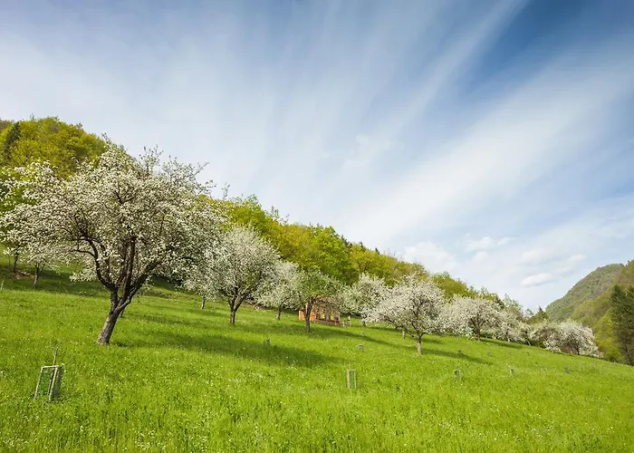 Farm stay Tourist Farm Zelinc