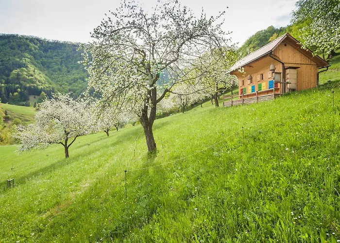 Tourist Farm Zelinc Cerkno