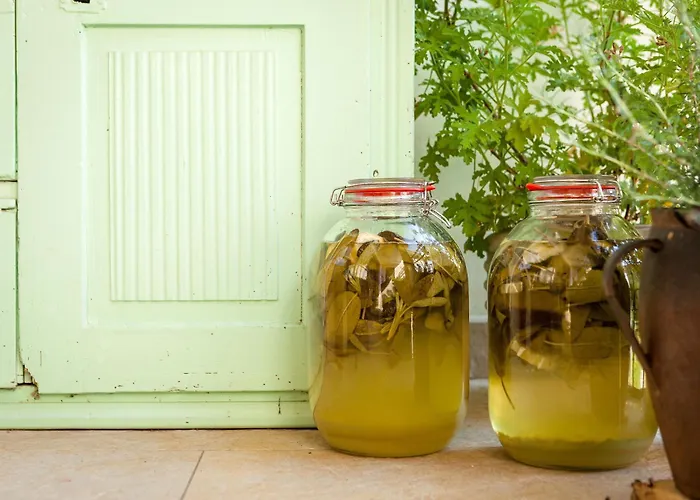 Tourist Farm Zelinc سيركنو