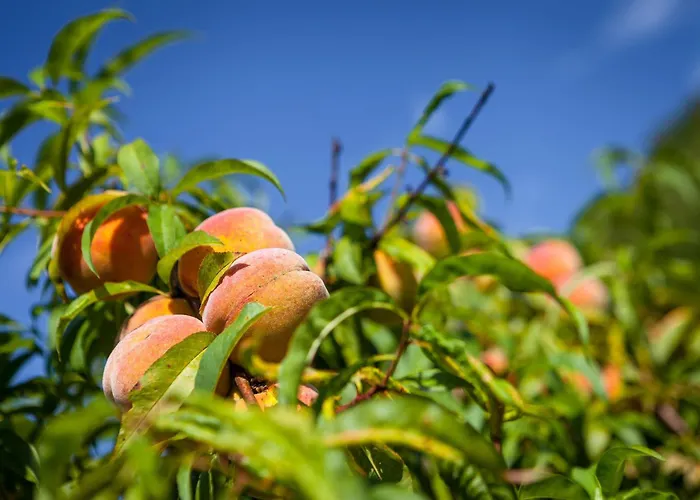 Tourist Farm Zelinc مزرعة للإقامة