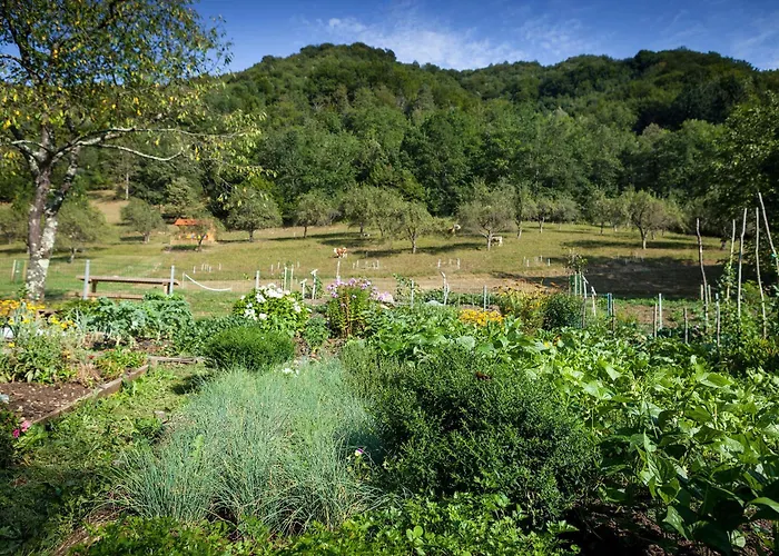 Tourist Farm Zelinc Farm stay Cerkno