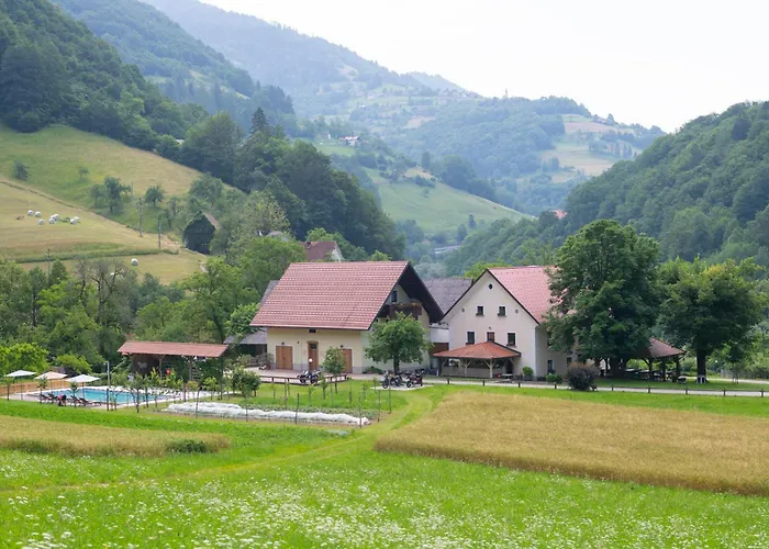 Tourist Farm Zelinc Farm stay *