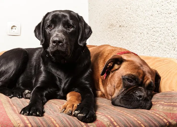 Farm stay Tourist Farm Zelinc *