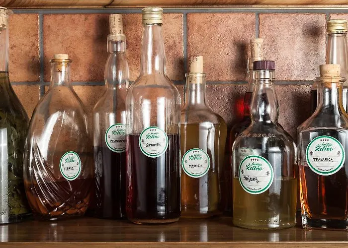 Tourist Farm Zelinc Farm stay *